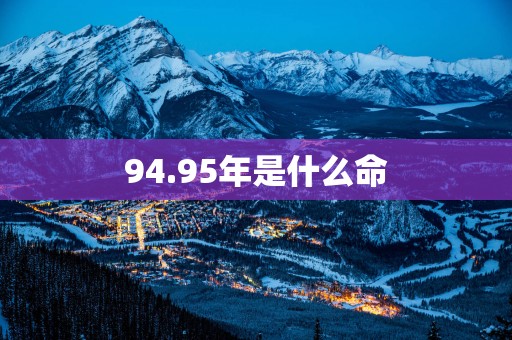 94.95年是什么命