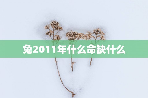 兔2011年什么命缺什么