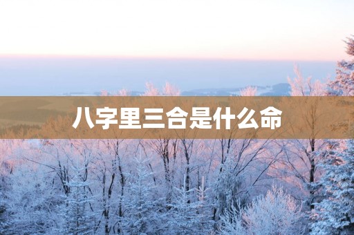 八字里三合是什么命