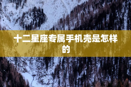 十二星座专属手机壳是怎样的