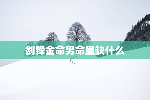 剑锋金命男命里缺什么