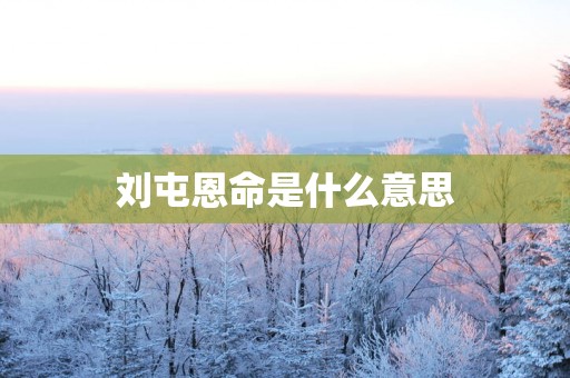 刘屯恩命是什么意思