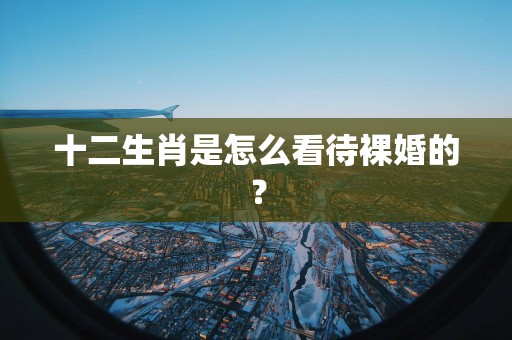 十二生肖是怎么看待裸婚的？