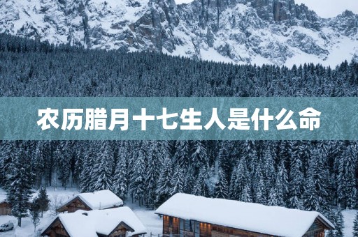 农历腊月十七生人是什么命