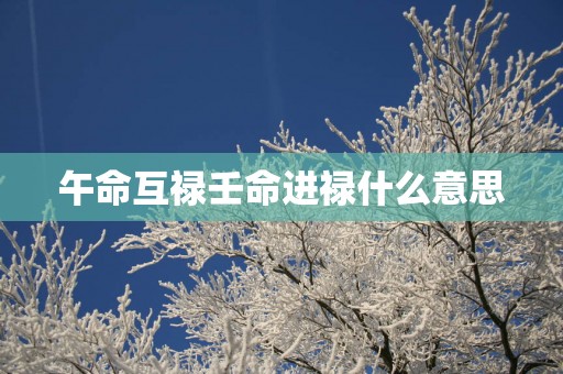 午命互禄壬命进禄什么意思