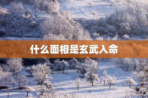 什么面相是玄武入命