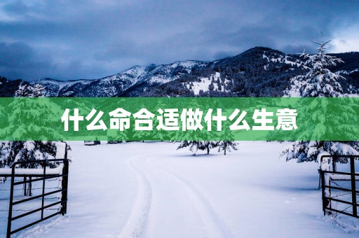 什么命合适做什么生意