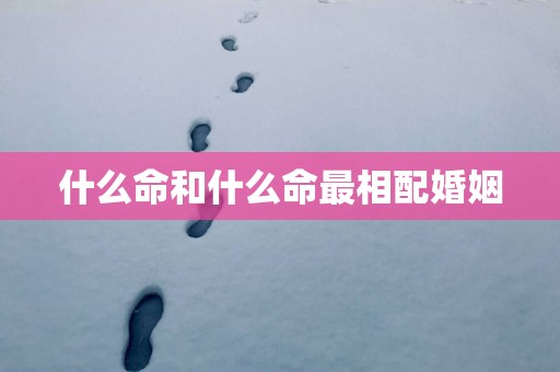 什么命和什么命最相配婚姻