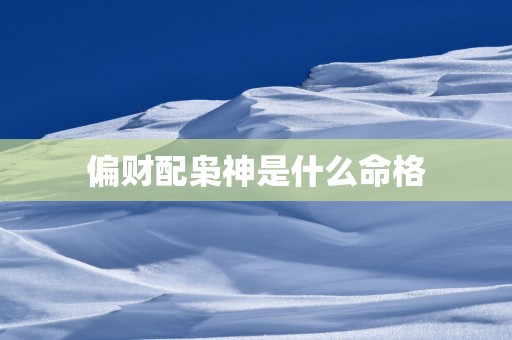 偏财配枭神是什么命格