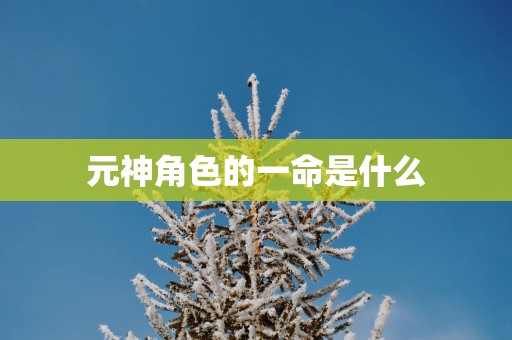 元神角色的一命是什么