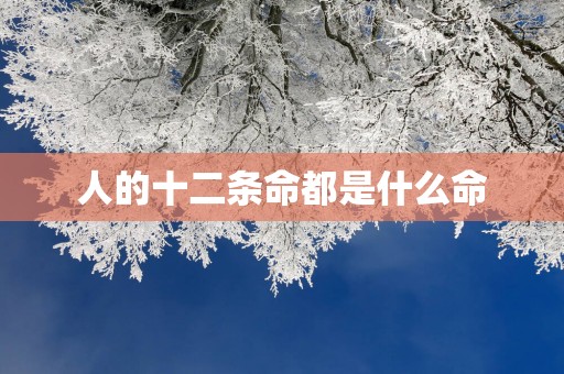 人的十二条命都是什么命