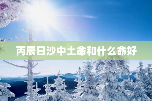 丙辰日沙中土命和什么命好