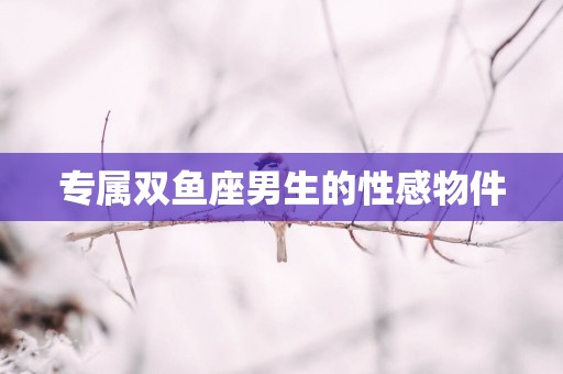 专属双鱼座男生的性感物件