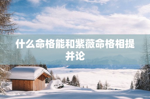 什么命格能和紫薇命格相提并论