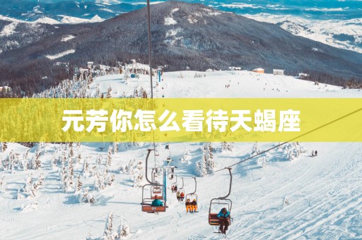 元芳你怎么看待天蝎座