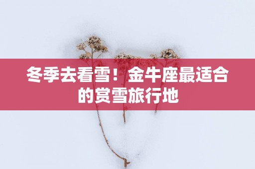 冬季去看雪！金牛座最适合的赏雪旅行地