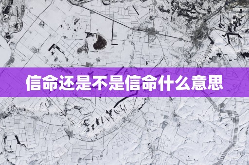 信命还是不是信命什么意思