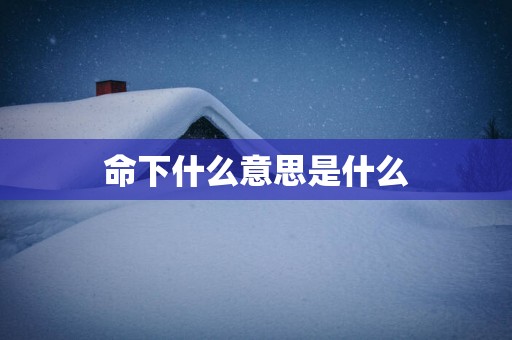 命下什么意思是什么