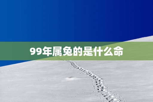 99年属兔的是什么命