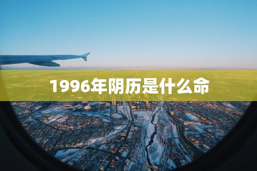 1996年阴历是什么命
