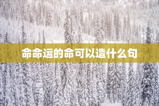 命命运的命可以造什么句