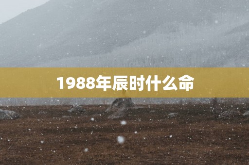 1988年辰时什么命