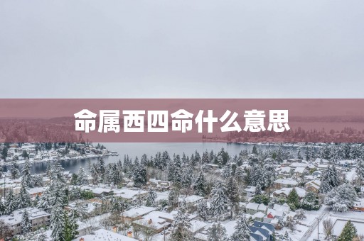命属西四命什么意思