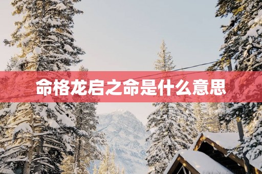 命格龙启之命是什么意思