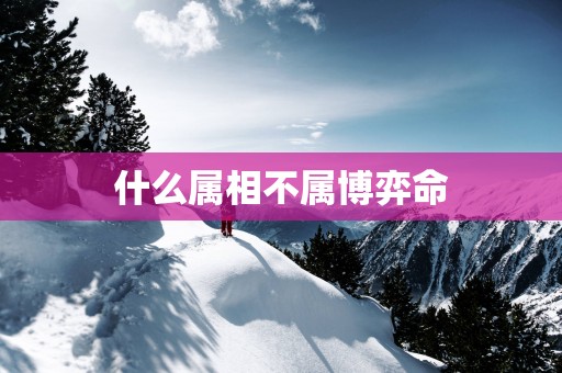 什么属相不属博弈命