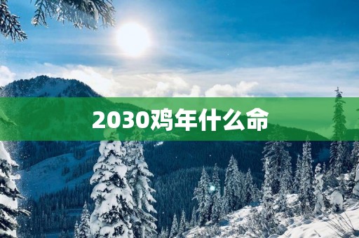 2030鸡年什么命