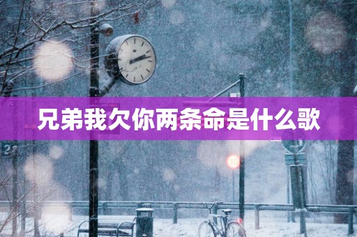 兄弟我欠你两条命是什么歌