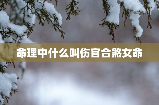 命理中什么叫伤官合煞女命