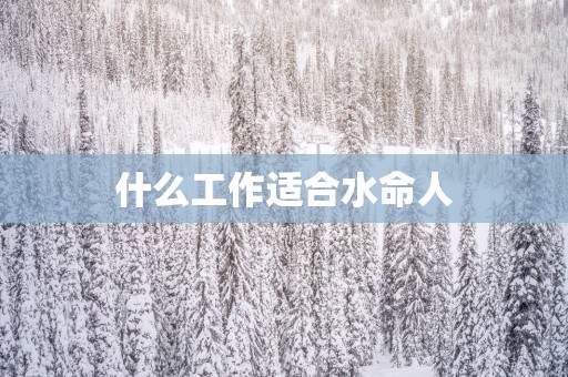 什么工作适合水命人