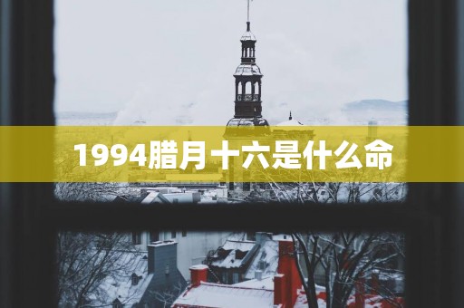 1994腊月十六是什么命