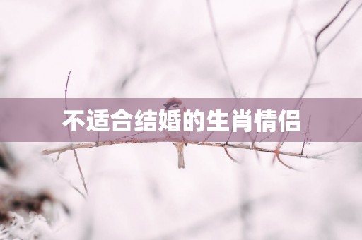不适合结婚的生肖情侣