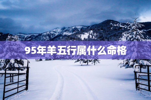 95年羊五行属什么命格