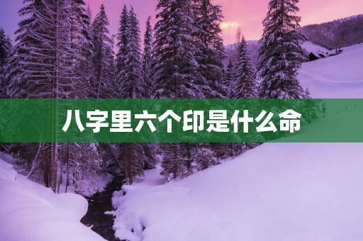 八字里六个印是什么命