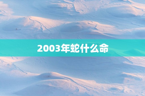 2003年蛇什么命