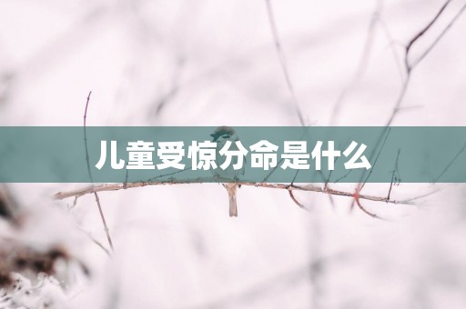 儿童受惊分命是什么