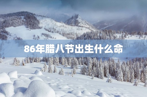 86年腊八节出生什么命