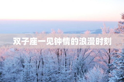 双子座一见钟情的浪漫时刻