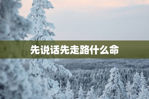 先说话先走路什么命
