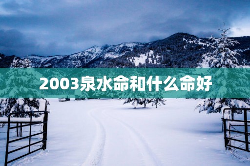 2003泉水命和什么命好
