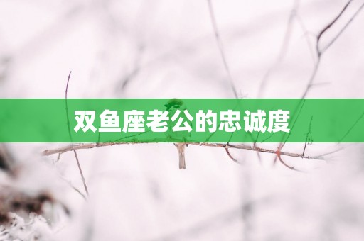 双鱼座老公的忠诚度