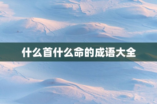 什么首什么命的成语大全
