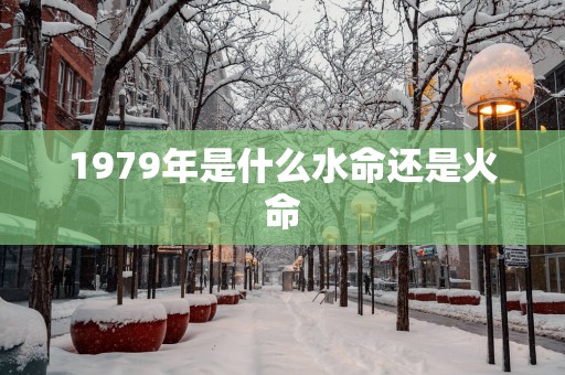 1979年是什么水命还是火命