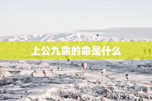 上公九命的命是什么