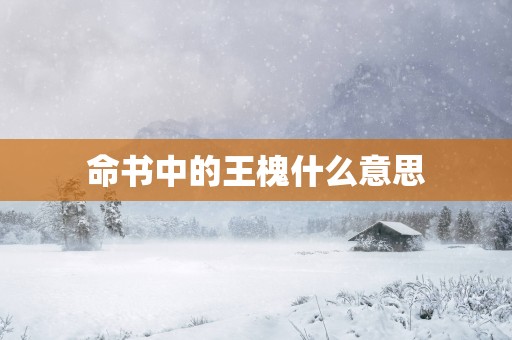 命书中的王槐什么意思