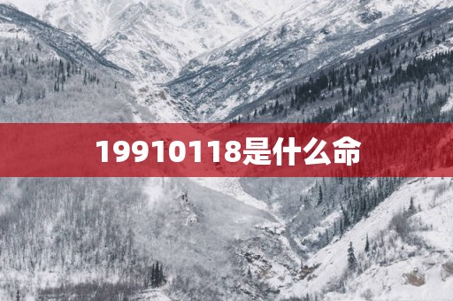 19910118是什么命