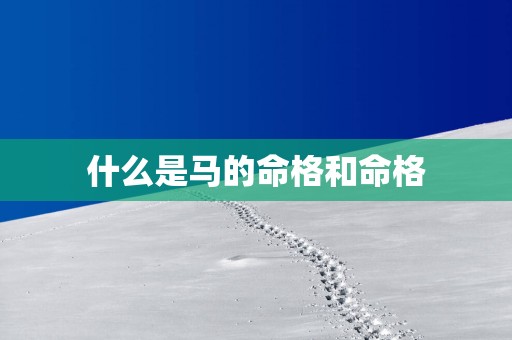什么是马的命格和命格